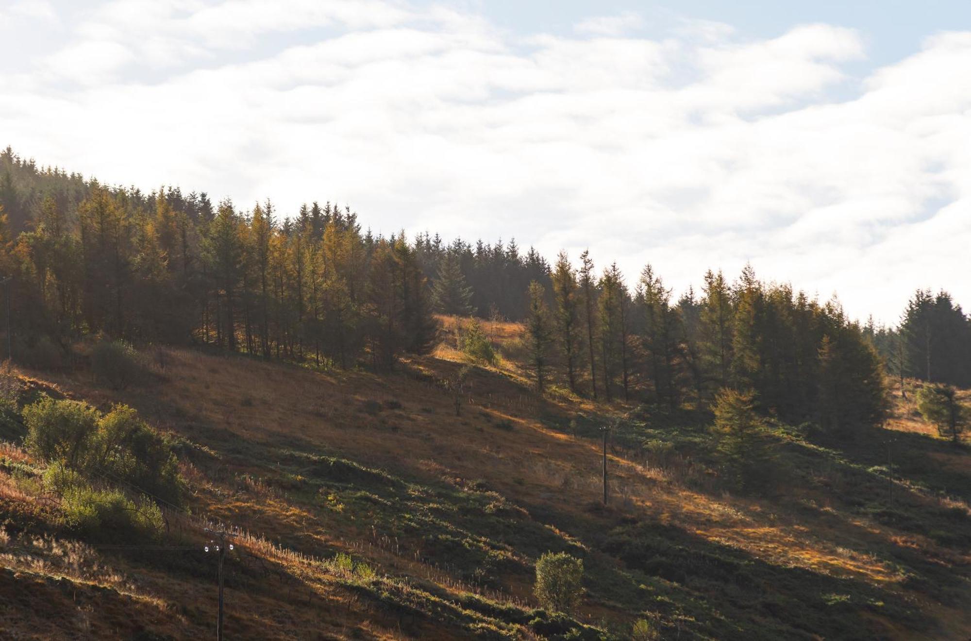 Riverside Great House In The Afan Forest Bike Park By Staystaycations Glyncorrwg Exterior photo
